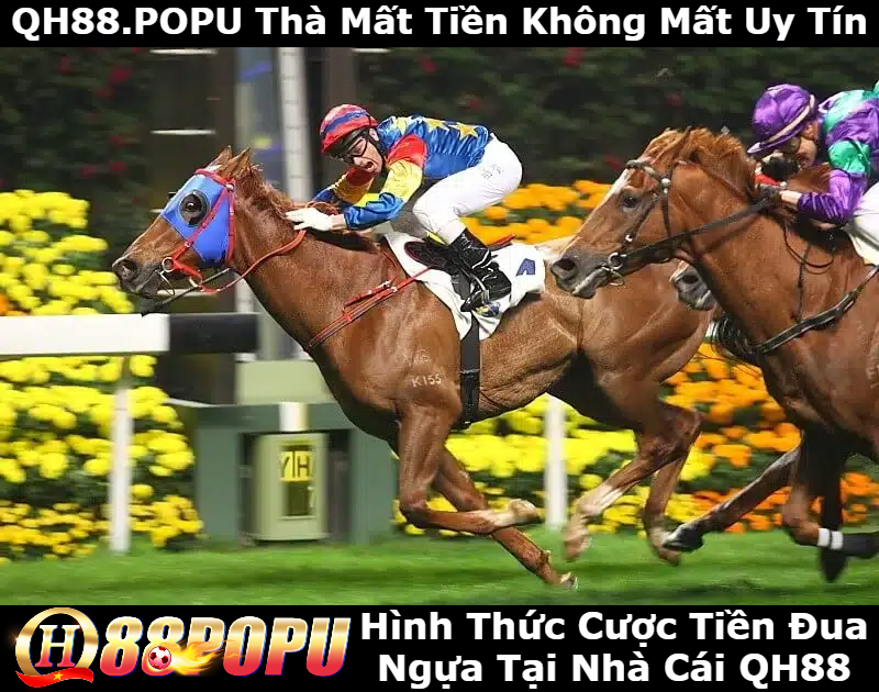 cac-hinh-thuc-dua-ngua-tai-qh88
