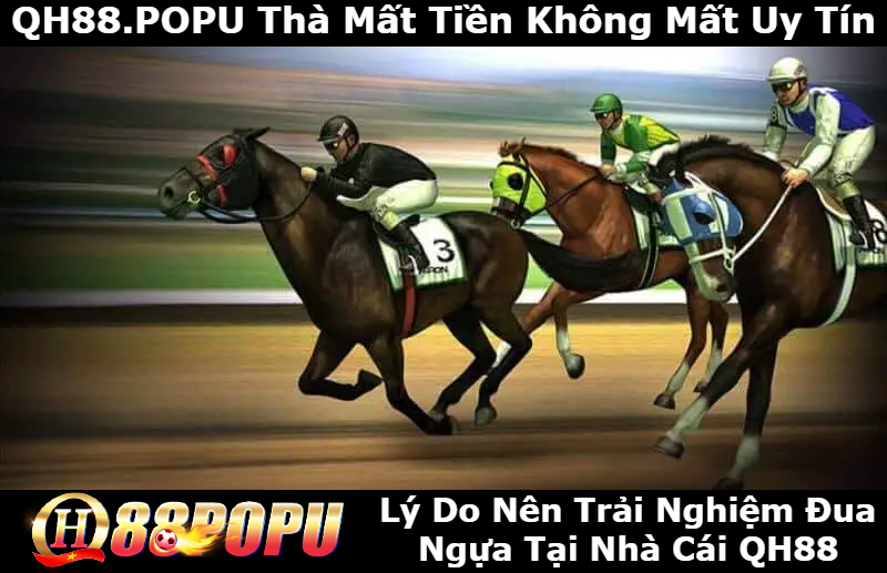 cac-ly-do-nen-trai-nghiem-dua-ngua-tai-qh88
