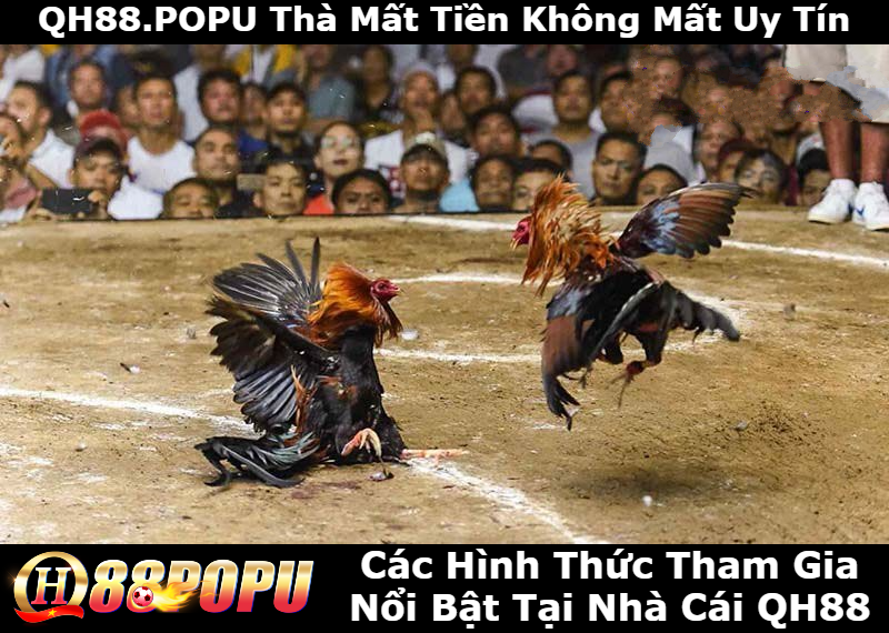 cac-hinh-thuc-tham-gia-noi-bat-tai-qh88
